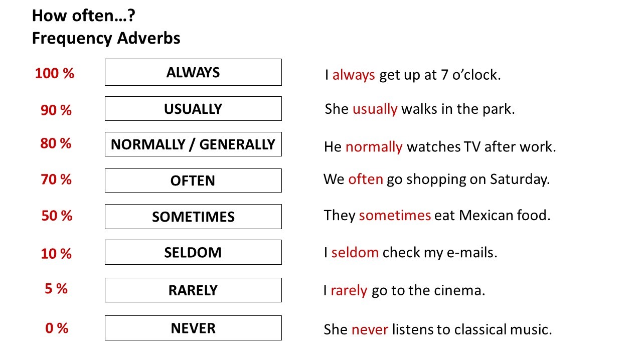Present simple adverbs. Adverbs of Frequency in present simple. Adverbs of Frequency для детей. Adverbs of Frequency наречия частотности. Frequency adverbs в английском языке.