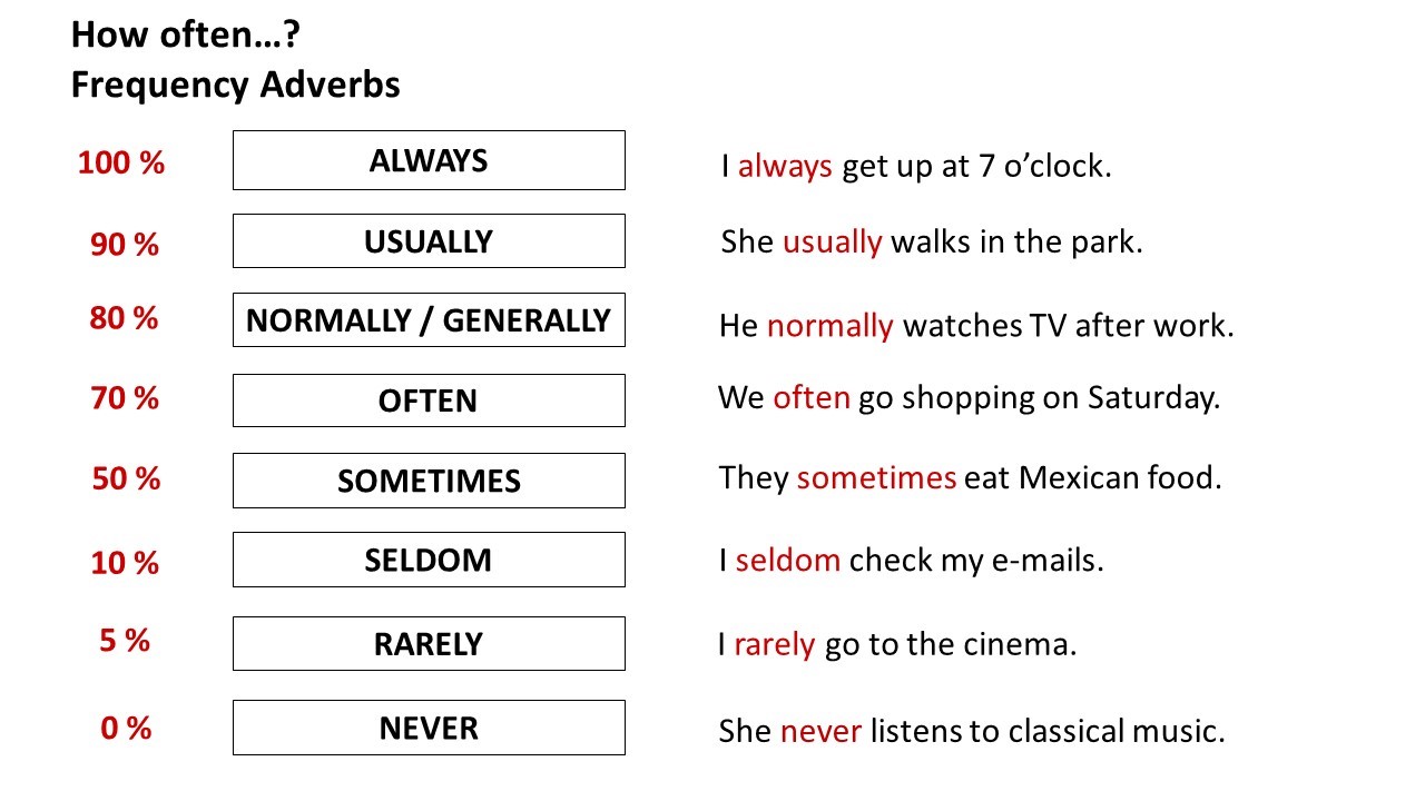 Adverbs of frequency in the sentence